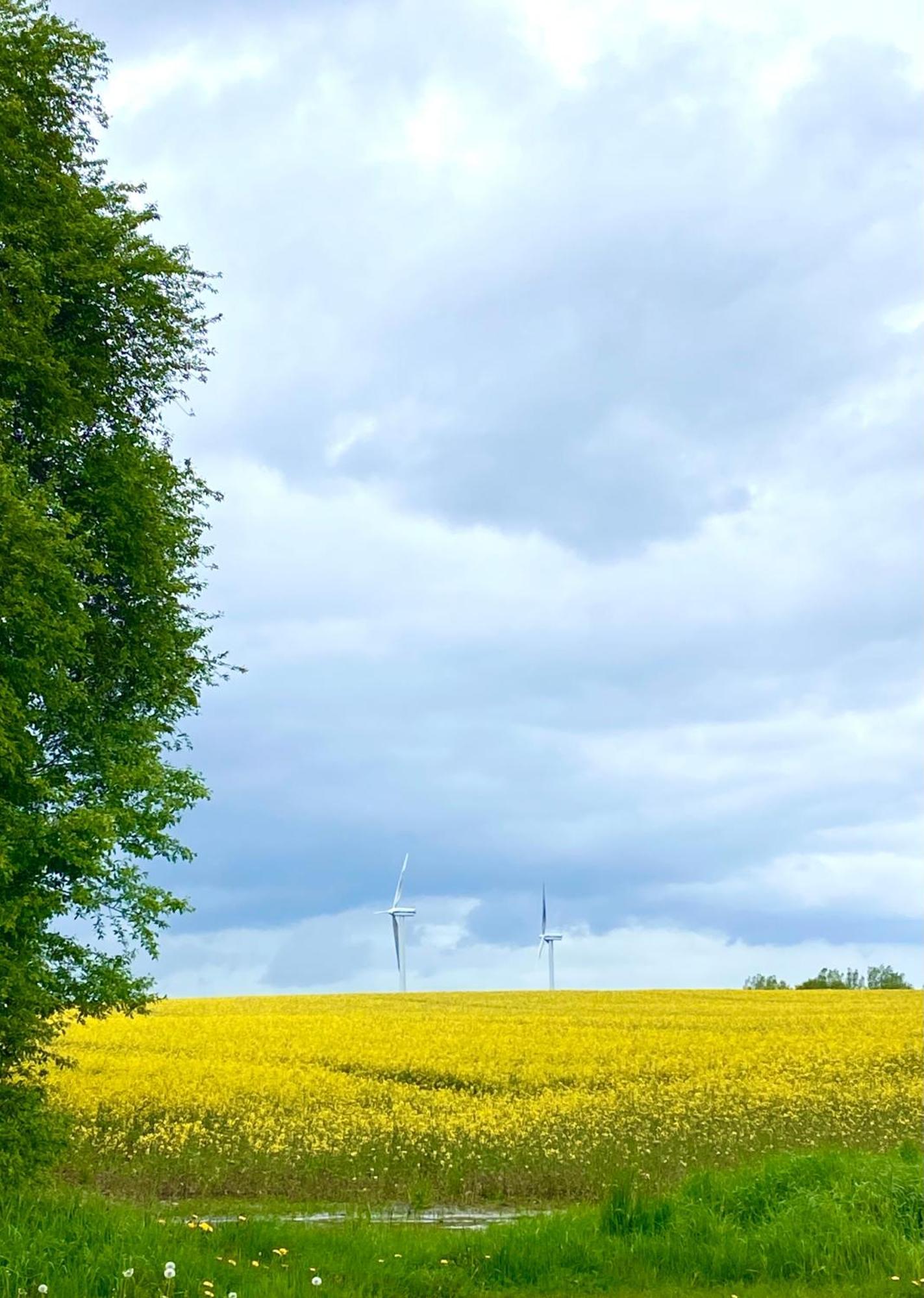Ferienhaus Bei Engel Ahrensbok Zewnętrze zdjęcie